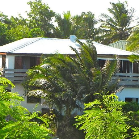 Wild Paradise: Villa Vue Mer Piscine A Debordement เลอ มูเล่ ภายนอก รูปภาพ